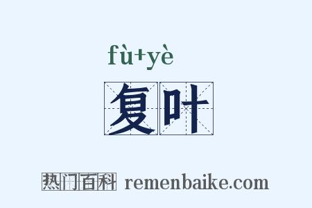 复叶是什么意思的图片